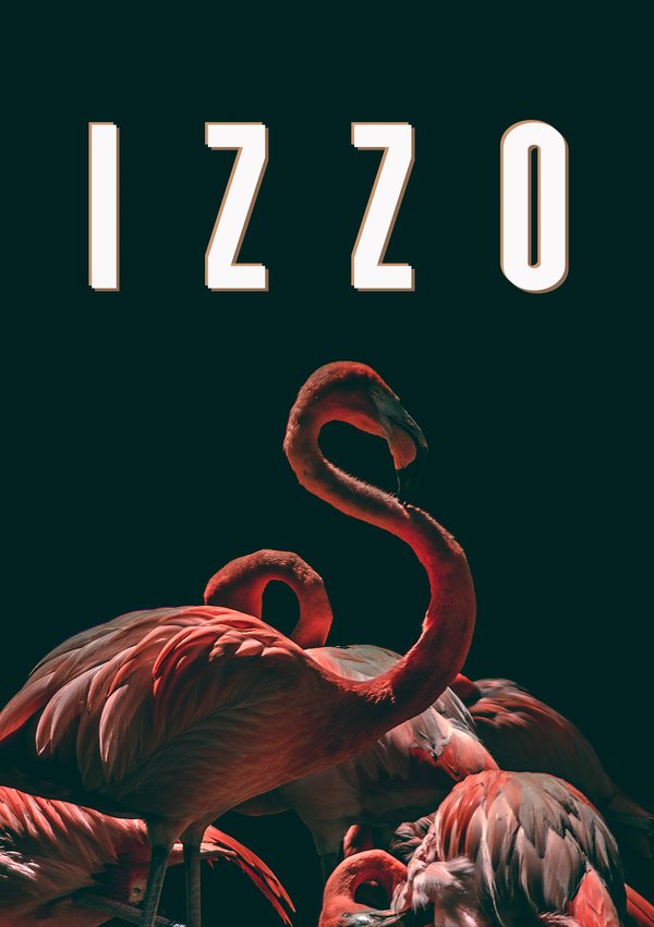 Cover IZZO