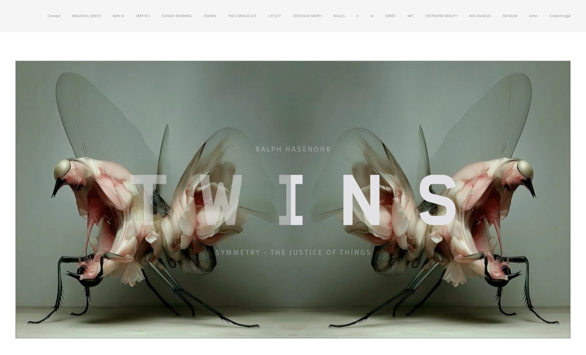 TWINS — symmetry, the justice of things