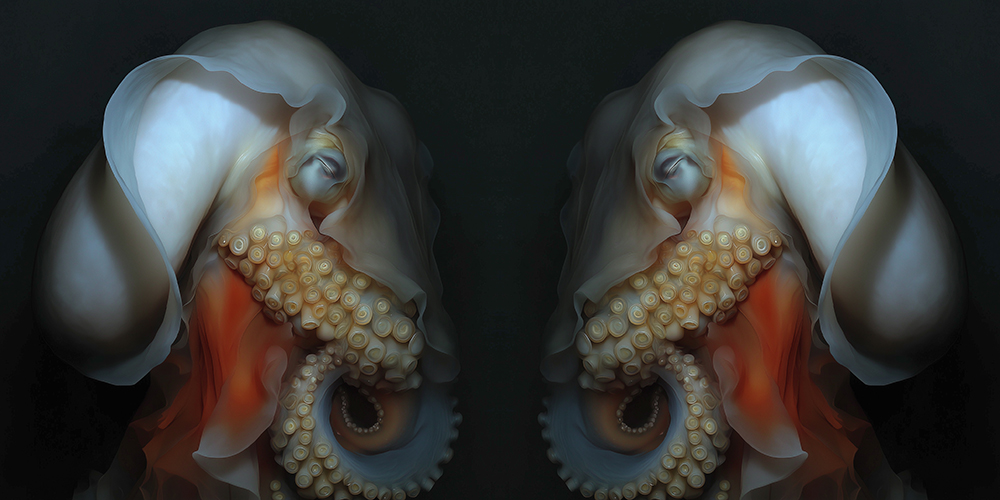 TWINS octo 2