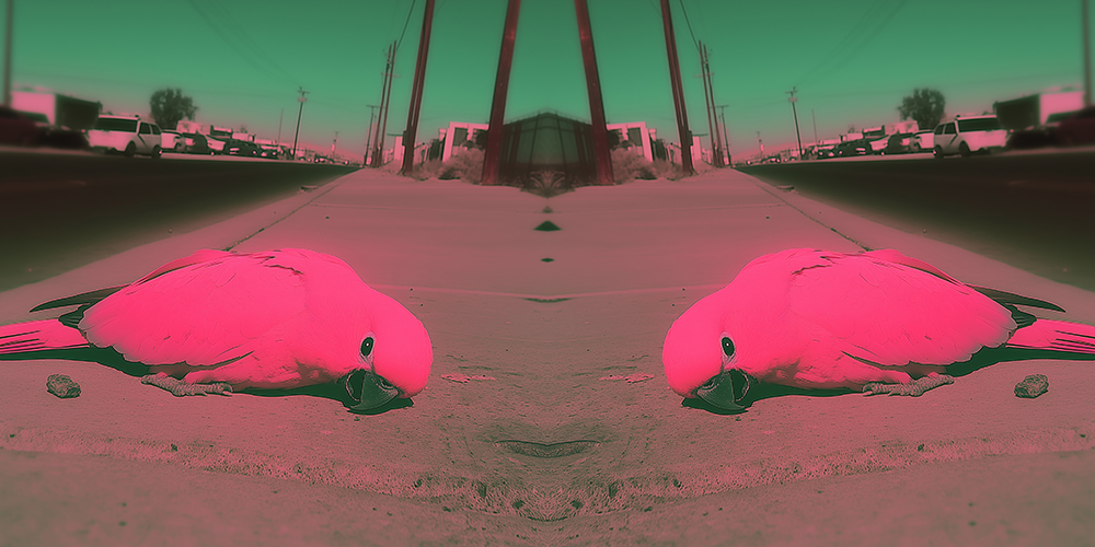 beautiful artificial death 14