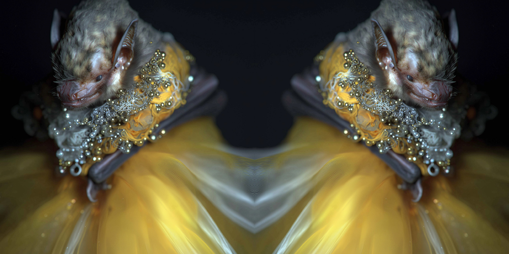 creatures & pearls 55