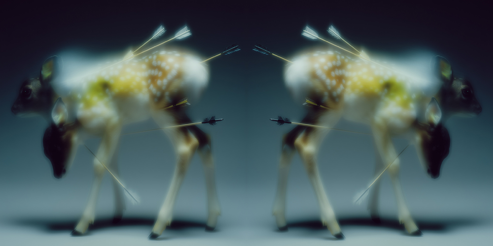 killBAMBI x3